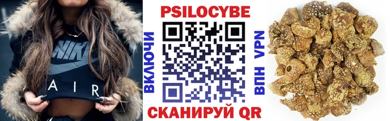 Псилоцибиновые грибы Psilocybe  наркотики  Морозовск 