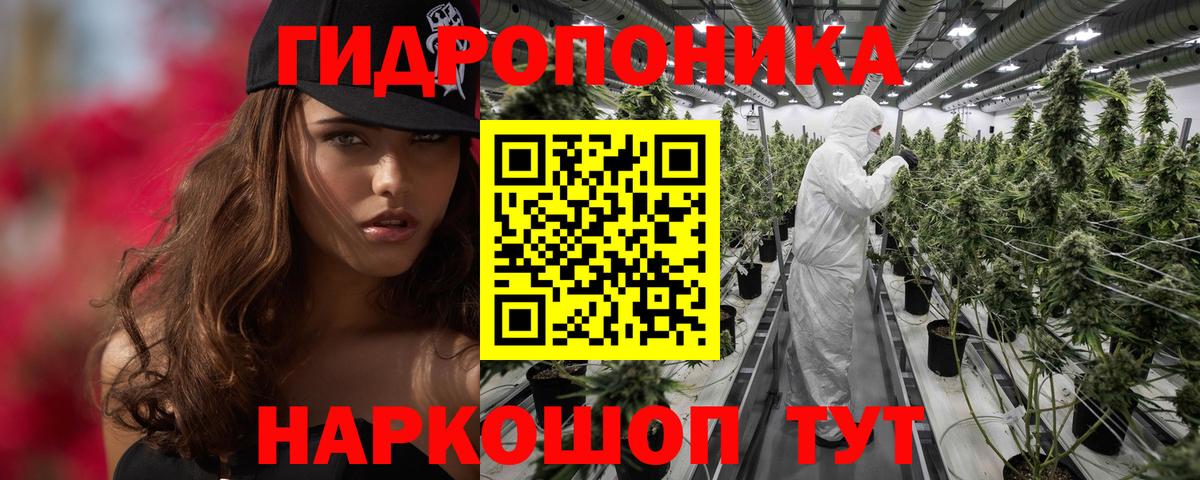 Шишки марихуана Bruce Banner  Вход с VPN  Шишки марихуана OG Kush  Морозовск 